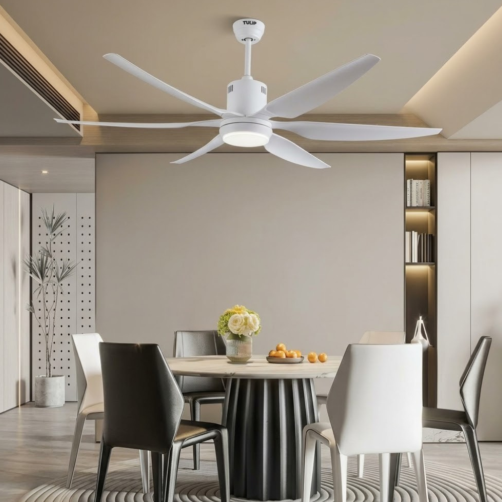Ceiling Fans