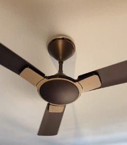 Havells ENTICER WOOD 56" Ceiling Fan ( Oakwood ) H-286